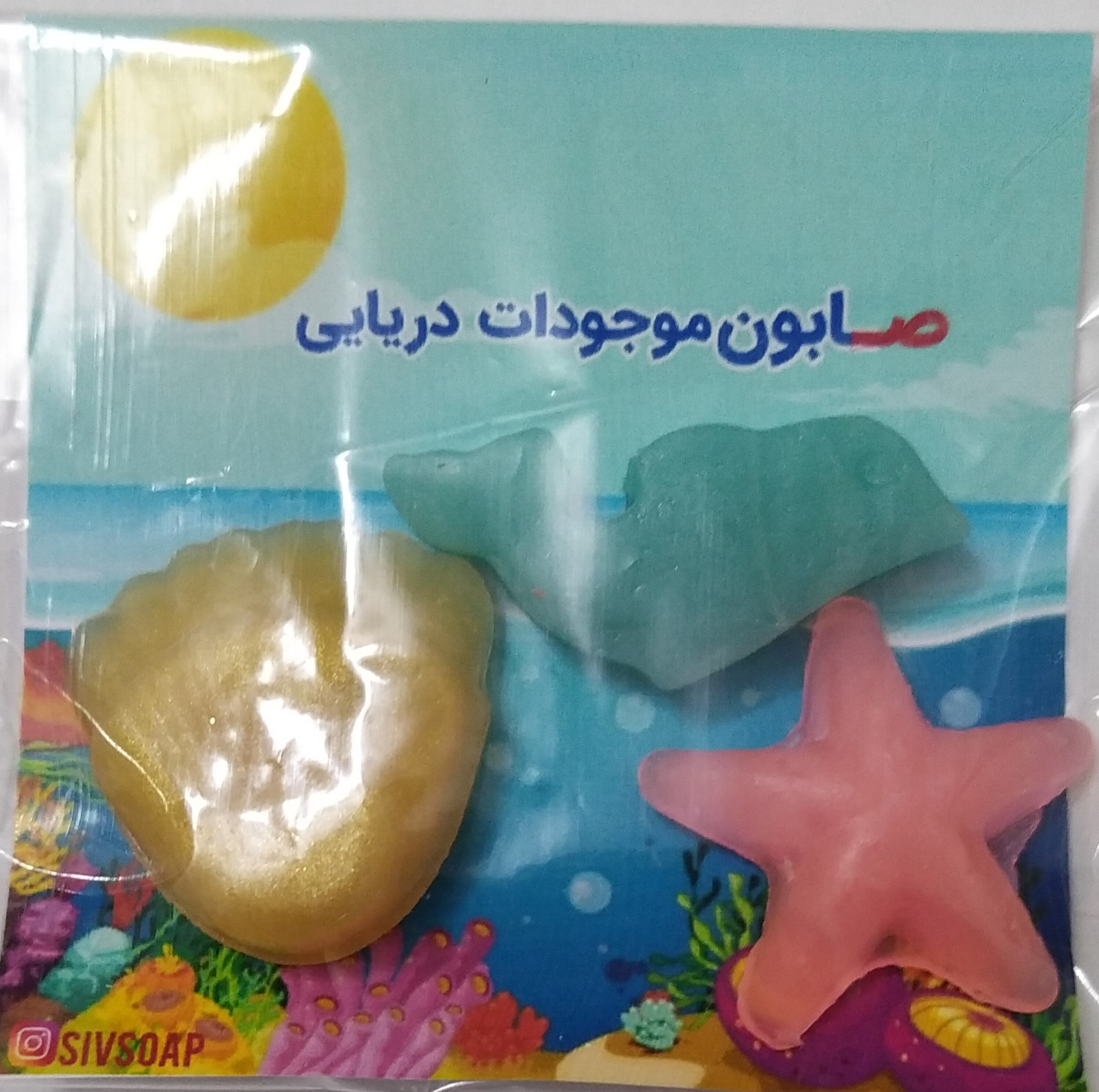 صابون صدف کوچک